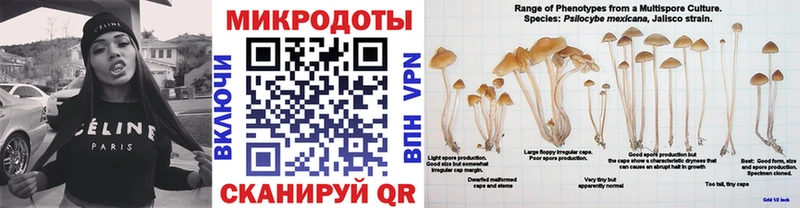 Купить где  Саров  Псилоцибиновые грибы Magic Shrooms 